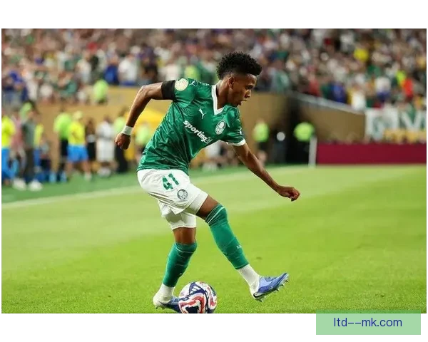 切尔西正式签下巴西17岁天才埃斯特旺 强力补强青训体系