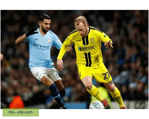 索兰克转会热刺刷新伯恩茅斯队史售出纪录英超前锋身价再被抬高度