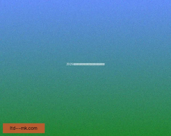 2025年夏季转会赫塔菲引进中甲新星助力未来阵容建设